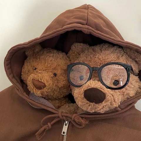 Two teddy bears wearing glasses in a warm brown hoodie
